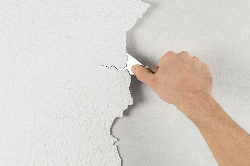 Paint Removal Service